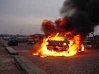 brand auto